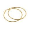 316L Stainless Steel Geometric Round Buckle Earrings For Women