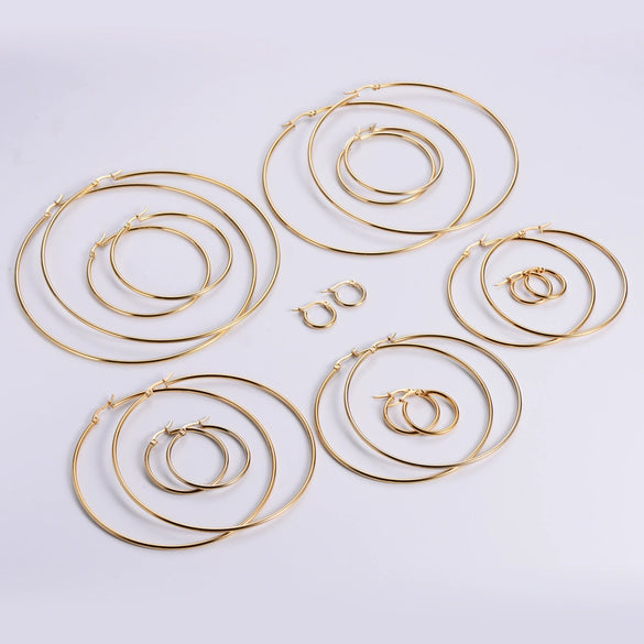 316L Stainless Steel Geometric Round Buckle Earrings For Women