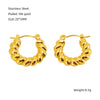 316L Stainless Steel Geometric Twisted Spiral Pattern Electroplated Women's Earrings