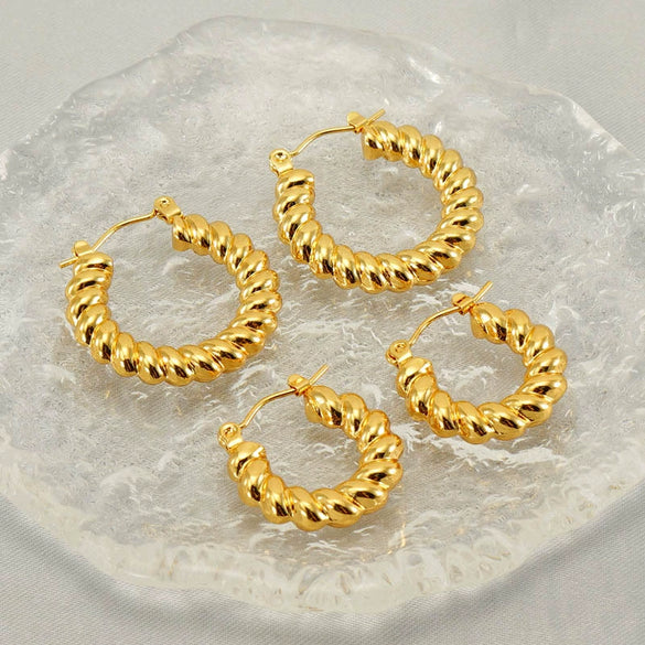 316L Stainless Steel Geometric Twisted Spiral Pattern Electroplated Women's Earrings