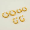316L Stainless Steel Geometric Twisted Spiral Pattern Electroplated Women's Earrings