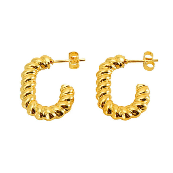 316L Stainless Steel Geometric Twisted Spiral Pattern Electroplated Women's Earrings