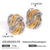 Stainless Steel Geometric Wave Electroplated Women's Earrings