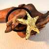 Stainless Steel Hair Ring Animal Starfish Ocean Style Electroplated Light Luxury Simple Highgrade Niche Metal Black Hair Accessories