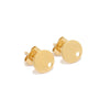 Stainless Steel Heart Shaped Electroplated Women's Earrings Accessories