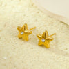 Stainless Steel 18K Electroplated Bow Star Inlaid Zircon Women's Earrings Set