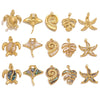 Stainless Steel Natural Shellfish Turtle Starfish Conch Jewelry Diy Pendant Accessories With Electroplating And Totem Pattern