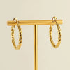 316L Stainless Steel Round Spiral Geometric Electroplated Women's Earrings