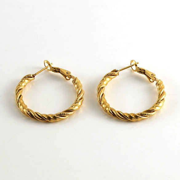 316L Stainless Steel Round Spiral Geometric Electroplated Women's Earrings