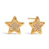 Stainless Steel Star Pattern Electroplated Earrings For Women