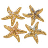 Stainless Steel Starfish Inlaid Pearl Electroplated Handmade Accessories