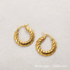Stainless Steel Threaded Round Electroplated Women's Fashion Elegant Geometric Earrings