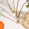 Stainless Steel Titanium Steel Necklace Light Luxury Niche Electroplating Women's