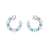 925 Sterling Silver Animal Zodiac Star Moon Earrings Electroplated Women's Fashion Jewelry
