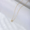 Sterling Silver Classic Round Microinlaid Zircon Geometric Pendant Necklace For Women