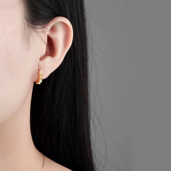 Sterling Silver Geometric Punk Metal Earring For Women
