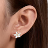 Sterling Silver Oil Drop Flower Earrings For Women