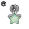 Titanium Heartshaped Puncture Earrings Jewelry With Polishing Treatment