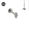 Titanium Insects Pattern Threadless Insert Earrings With Electroplating