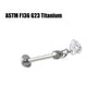 Titanium Lip Nail Ear Bone Nail Fashion Piercing Earrings With Serpentine Pattern And Zircon Design