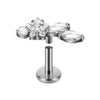 Titanium Marquise Curved Lip Nail Fivestar Electroplated Earrings And Lip Ring With Wave Pattern