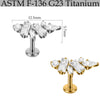 Titanium Marquise Curved Lip Nail Fivestar Electroplated Earrings And Lip Ring With Wave Pattern