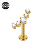 Titanium Star Shaped Lip Nails And Ear Bone Nails Electroplated Puncture Jewelry