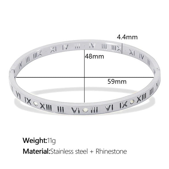 Titanium Steel 18K Gold Plated Vintage Style Simple Style Roman Numeral Zircon Bangle