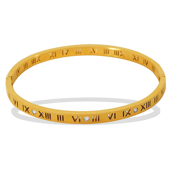 Titanium Steel 18K Gold Plated Vintage Style Simple Style Roman Numeral Zircon Bangle