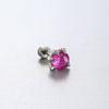 Titanium Steel Animal Zodiac Zirconia Couple's Screw Earring