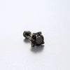 Titanium Steel Animal Zodiac Zirconia Couple's Screw Earring