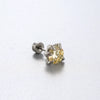 Titanium Steel Animal Zodiac Zirconia Couple's Screw Earring