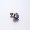 Titanium Steel Animal Zodiac Zirconia Couple's Screw Earring