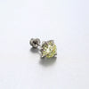 Titanium Steel Animal Zodiac Zirconia Couple's Screw Earring
