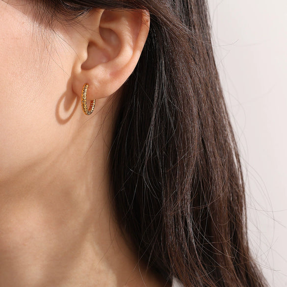 316L Stainless Steel Circle Electroplated Allmatch Women's Fashion Trendy Earrings