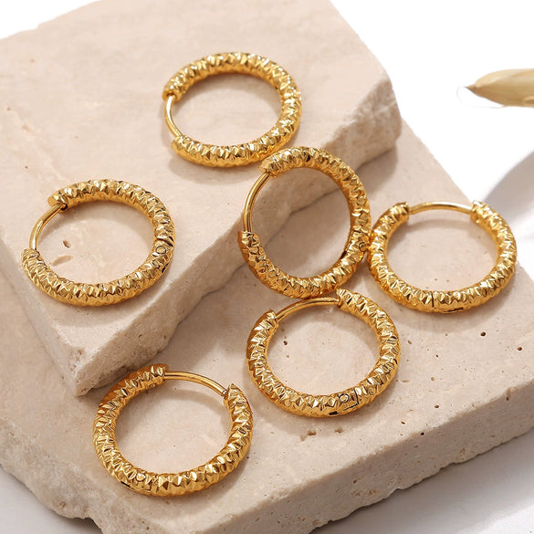 316L Stainless Steel Circle Electroplated Allmatch Women's Fashion Trendy Earrings