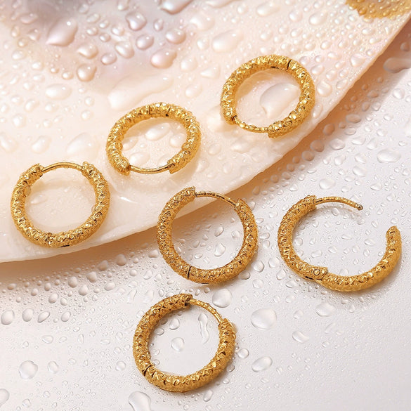 316L Stainless Steel Circle Electroplated Allmatch Women's Fashion Trendy Earrings