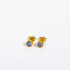 Titanium Steel Constellation Zircon Earrings