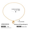 Titanium Steel Geometric Heart Retro Style Electroplated Women's Necklace