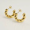 316L Stainless Steel Geometric Twisted Women's Earrings Electroplated