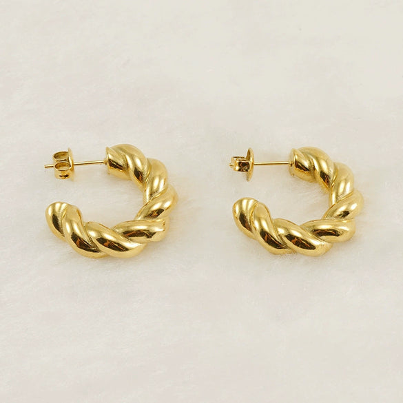 316L Stainless Steel Geometric Twisted Women's Earrings Electroplated