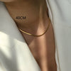Titanium Steel Gold Plated U Shaped Horse Whip Hip Hop Clavicle Necklace Unisex