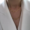 Titanium Steel Gold Plated U Shaped Horse Whip Hip Hop Clavicle Necklace Unisex