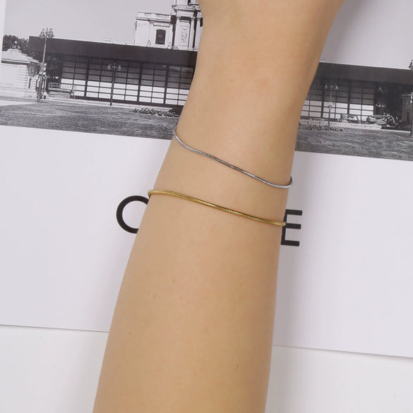 Titanium Steel Round Snake Bone Chain Electroplated Adjustable Hand Jewelry Geometric Style Bracelet For Women And Unisex