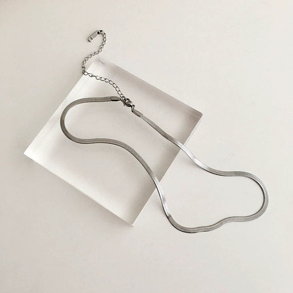 Titanium Steel Snake Bone Chain Electroplated Women's Niche Thin All Match Necklace With Geometric Design
