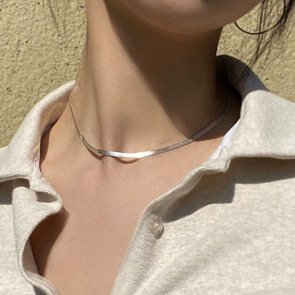 Titanium Steel Snake Bone Chain Electroplated Women's Niche Thin All Match Necklace With Geometric Design