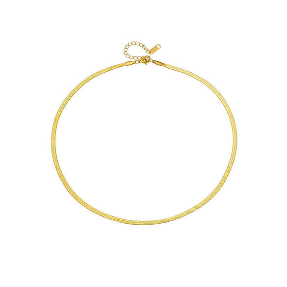 Titanium Steel Snake Bone Chain Necklace Women's Geometric Electroplated Simple Style Light Luxury Accessories