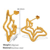 316L Stainless Steel Spider Web Fivepointed Star Earrings Electroplated Stylish Cold Style