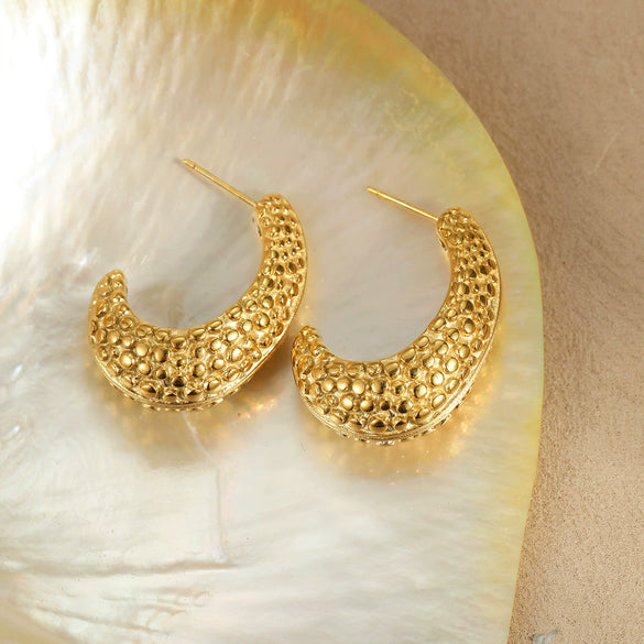 Titanium Steel Stainless Steel Geometric Goldplated Electroplated Women's Earrings