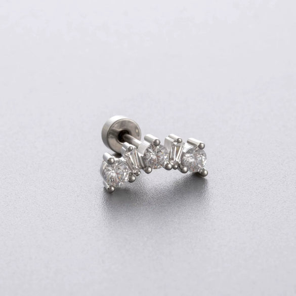 Titanium Steel Zircon Women's Princess Style Flower Drop Shape Geometric Earrings